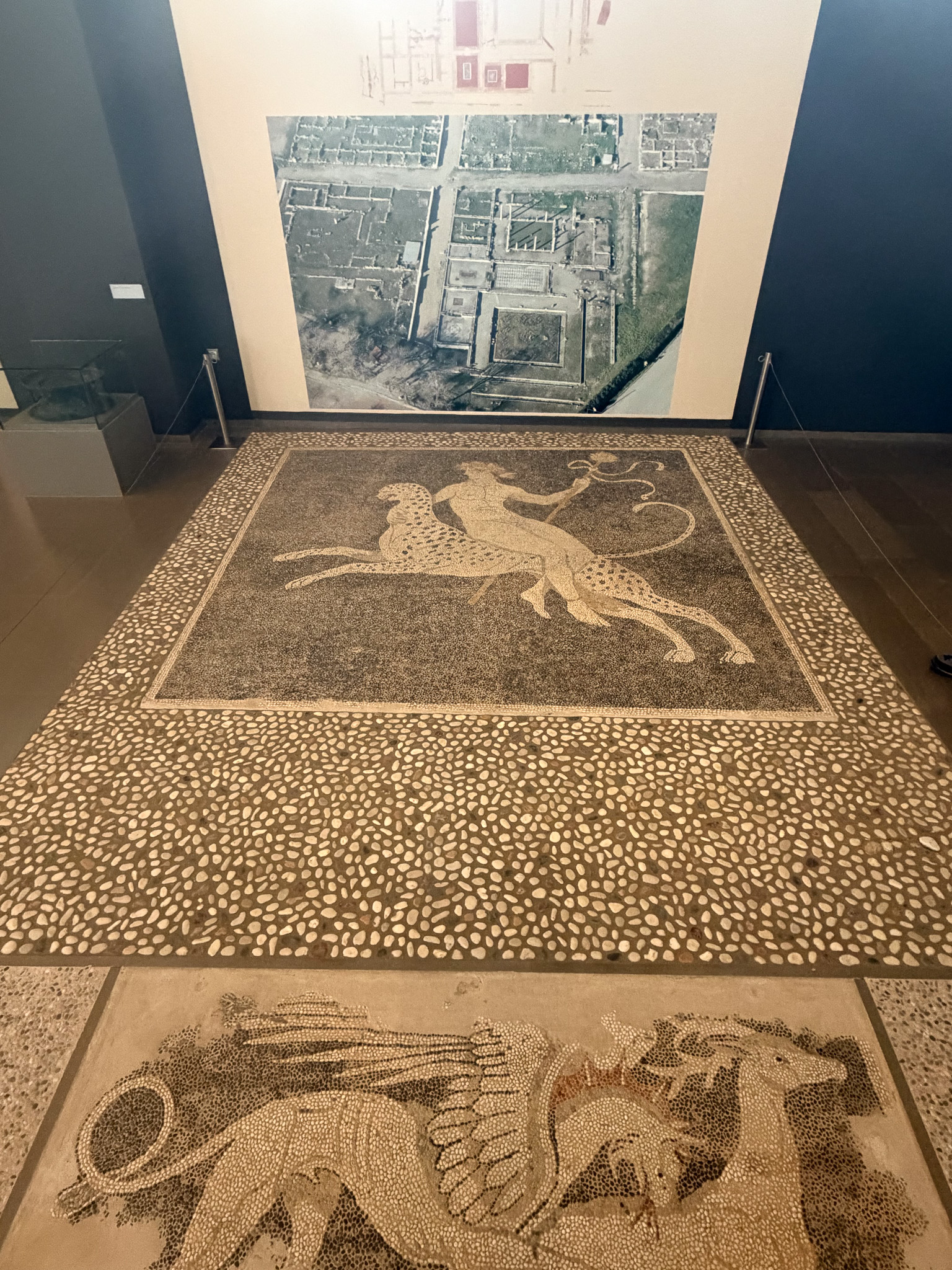 Artifact display.
