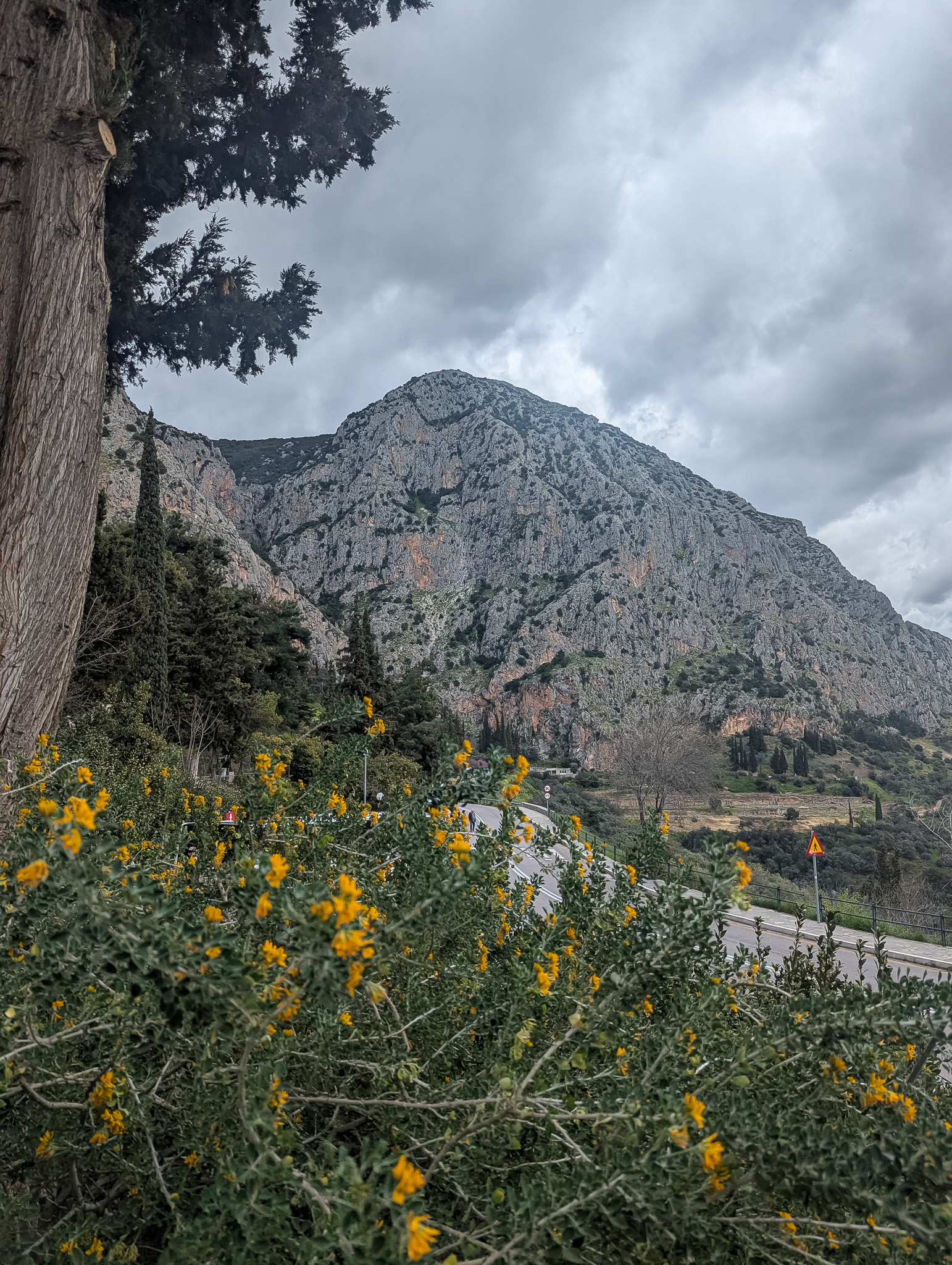 Scenic view from the climb.