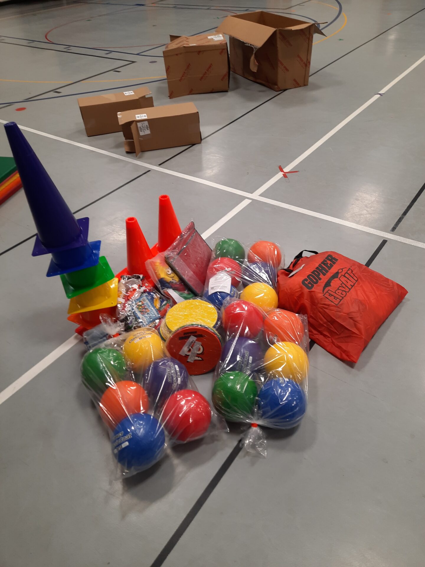 SPARK grant physical education equipment 